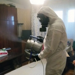 Дезинфекция от клопов в Алачково