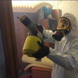 Уничтожение клопов в квартире. Алачково